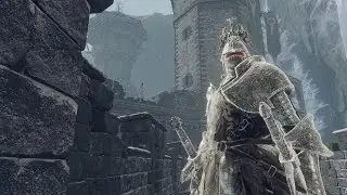 Banished Knight Dual Greatswords (Castle Sol) rl1 ng+7 +0 no backstab/parry