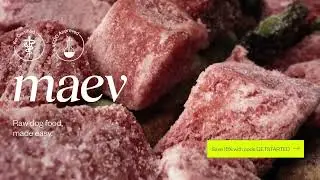 Meet Maev &ndash; Raw Dog Food Straight from the Freezer