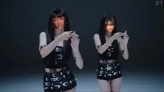 CupcakKe- 69 Reasons(SEULGI REMIX) [Remoans Forever 🪞REUPLOADED]