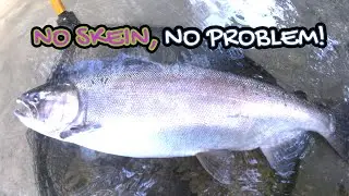 COHO SALMON FISHING USING YARN #salmonfishing #cohosalmonfishing