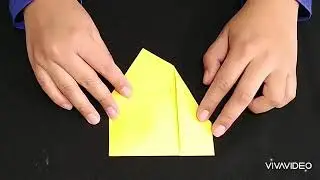 Arte Manual 6 Murci&eacute;lago