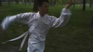 Long Hua Quan - Dragon Form - Wudang Sanfengpai