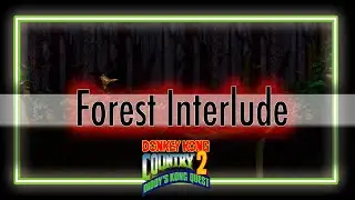 Forest Interlude - Donkey Kong Country 2 Remix