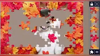 Cool Dog in Autumn Vibes🍂🍁🐶🧩 //Cozy jigsaw puzzle game🧩//@jigsawpuzzle45