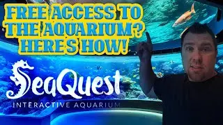 Aquarium Adventure for FREE! 💸 Thanks to Pogo Pass