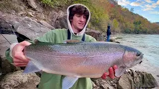 Lower Niagara River Steelhead and  trout Fishing extravaganza!!! (ITS LOADED) 