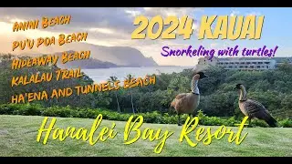 2024 Kauai - Hanalei Bay Resort