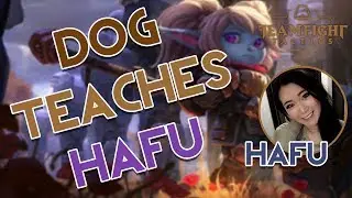 Hafu TFT Stream | Dog Teaches Hafu How to Win! Teamfight Tactics