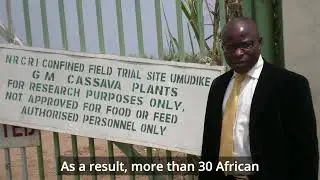 Prof. Ademola Adenle: Nearly 15 Years of Groundbreaking GMO Research in Africa- Part 1