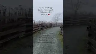 Join me for my Sunday morning nature walk - in the fog! Delta BC 🇨🇦 18 Jan 2026