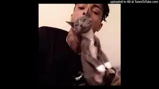 XXXTENTACION - #ProudCatOwner #IHateRappers #IEatPussy INSTRUMENTAL (reprod. by Kongo Beatz)