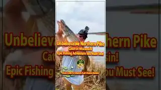 🎣 Unbelievable Northern Pike Catch in Wisconsin! 🐊 Epic Fishing Adventure You Must See!