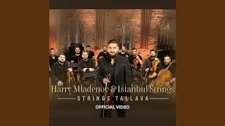 Strings Tallava