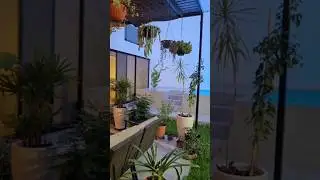 #shortsvideo#shorts