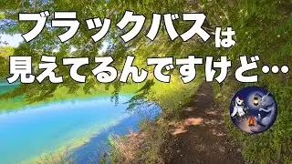 【四尾連湖　水明荘】バス釣りキャンプ⛺️
