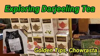 Darjeeling Tea Purchase | Golden Tips | Chowrasta | Authentic Tea Purchase