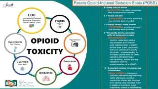 Assessment and Management of Non-cancer Pain in Older Adults