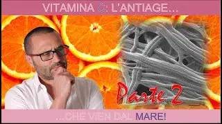 Vitamina C: l'anti age che vien dal mare! (parte 2)