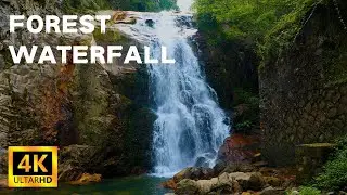 4K Forest Waterfall -Waterfall Roar -Natural White Noise -Flowing Water -8 Hours -Sleep/Relaxation