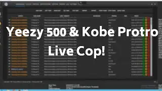 Yeezy 500 and Kobe Protro Live Cop!!!