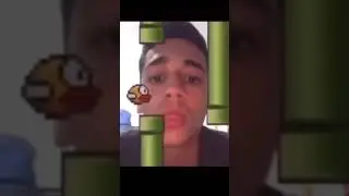 Guy plays flappy bird and dies
