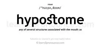 Произношение гипостомы | Определение Hypostome