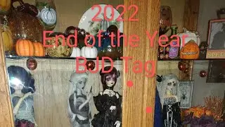 2022 End of the Year BJD Tag!! The Dolls ☺️ #endoftheyear #bjd #bjdinstagram