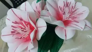 FLOR SEM FRISADOR 1