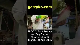 PRODIY Fruit Protect Net Bag Garden Plant Mesh Anti Insect, 30 Aug 2025
