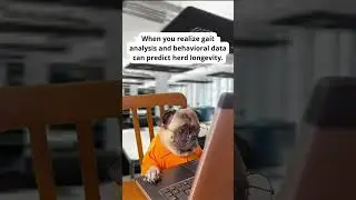 Who knew Excel could be a power tool? 📈🐖