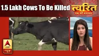 Twarit Vishwa: 1.5 Lakh Cows To Be Killed In New Zealand | ABP News