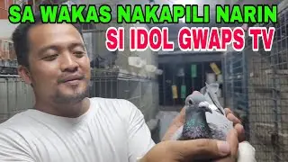 GANDA NG NAPILI NI IDOL GWAPS MAY KASAMA PANG GIFTBIRD #benchsison #longhairtv