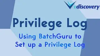Privilege Log - Using BatchGuru to Set Up a Privilege Log