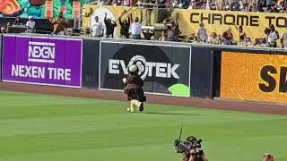The Swinging Friar Padres Mascot dancing