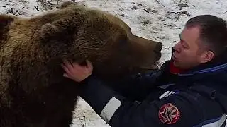 Медведь Мансур рассказывает папе как он скучал🐻💓/Bear Mansur