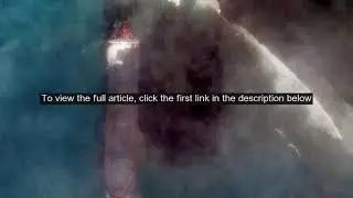 Satellite images show oil spill disaster unfolding in Mauritius: 