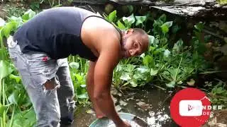 Criadero de bettas en una laguna en donde avia mas de mil bettas - en contramos el papá