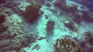 Dive Johor Sipadan Trip 2015