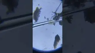 拿針翻動扭鞘藻  Use a needle to turn over Helicotheca