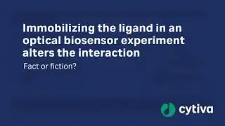 Biacore&trade; SPR system fact or fiction No3 - immobilization alter binding?