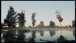 Relaxation sounds at a lake in the forest at dawn  - 1h