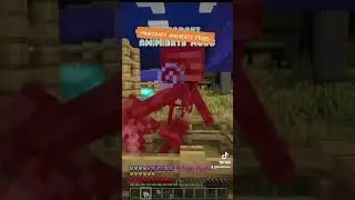 Minecraft animierte Mobs 🤩  #fun #new #server #shulker #minecraft  #mobs  #shulkercon #neu #plugin