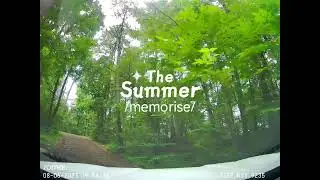 A Drive through a Dense Forest in Pakistan #nature #peugeot2008