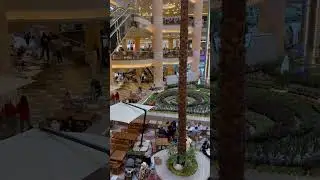 Best shopping mall in Egypt city stars #shorts #cairo #مصر #egyptianhistory