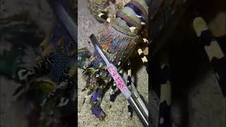 Hidden Monster Revealed！WM0616 #seafood #crab #fishing #fish