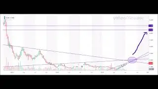 TARGET SHORT SELLERS 