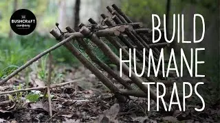 Bushcraft Kids: How to make a humane trap AT HOME