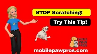 Does Your Pet Have Sensitive Skin? Why Hypoallergenic Grooming Products Matter