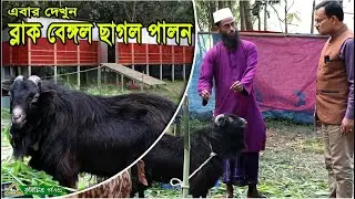 731-ছাগল পালনে লাভবান হতে চাইলে দেখুন এই ভিডিও / ছাগলের খামার/সেড R.I.Manik.Chitrapuri Krishichitra