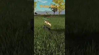 Lions Vs elephant Savannah Life On Roblox #roblox #savannahlife #fyp #lion #elephant